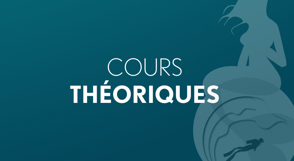 Les cours théoriques
