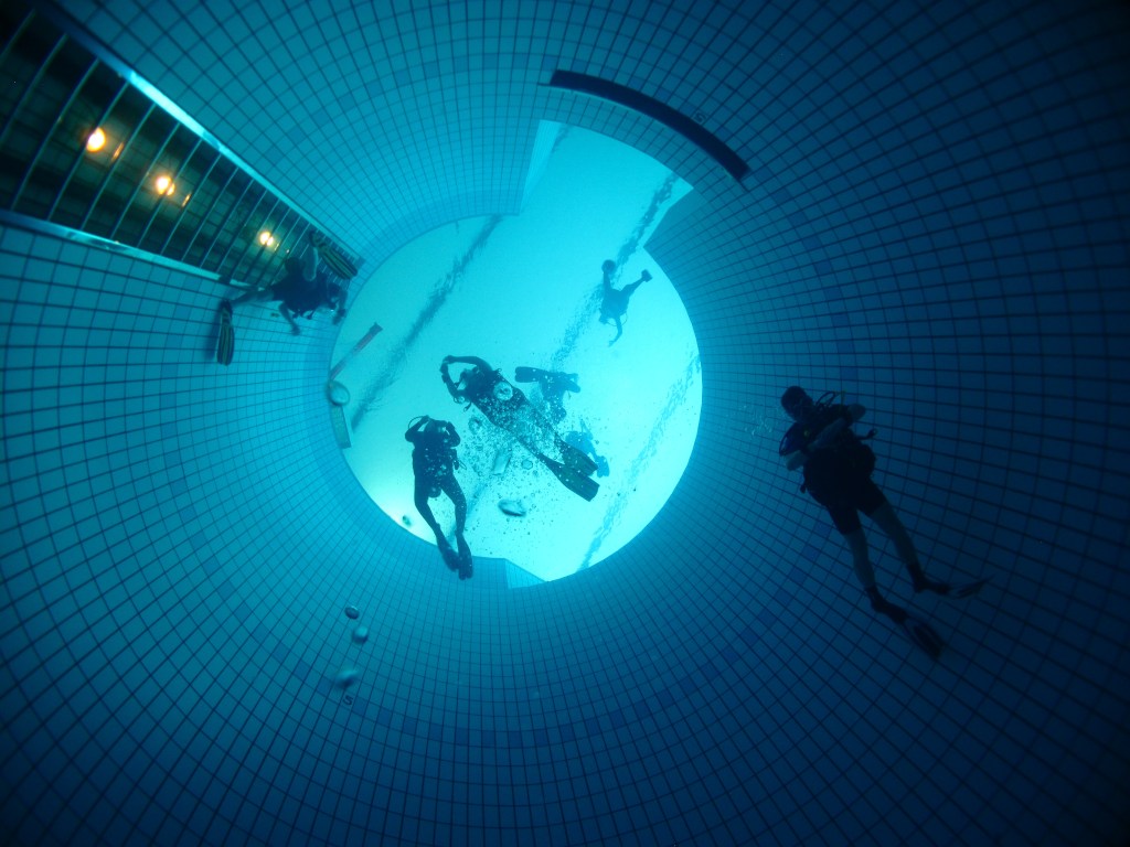 Le premier Bébé Aquadémie a vu le&nbsp;jour